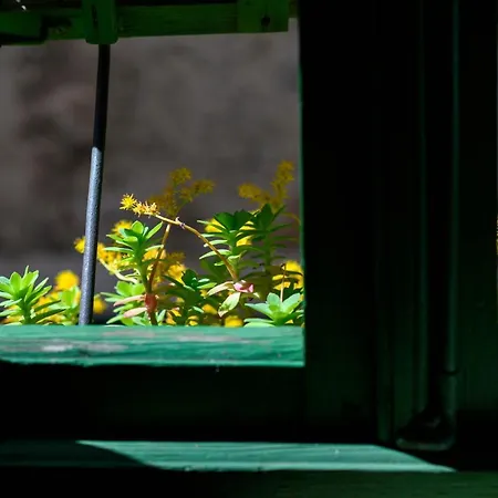 招待所 Swan Adriatic & 希贝尼克