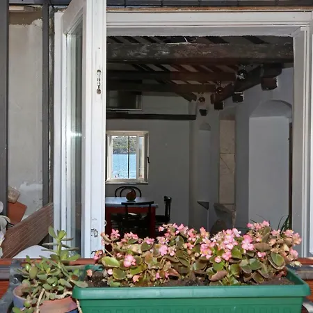 Swan Adriatic & Guest house 4*