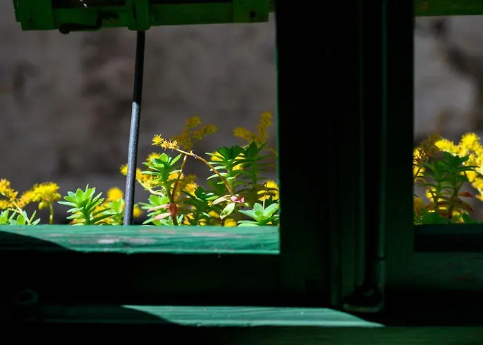 Vendégház Swan Adriatic & Šibenik