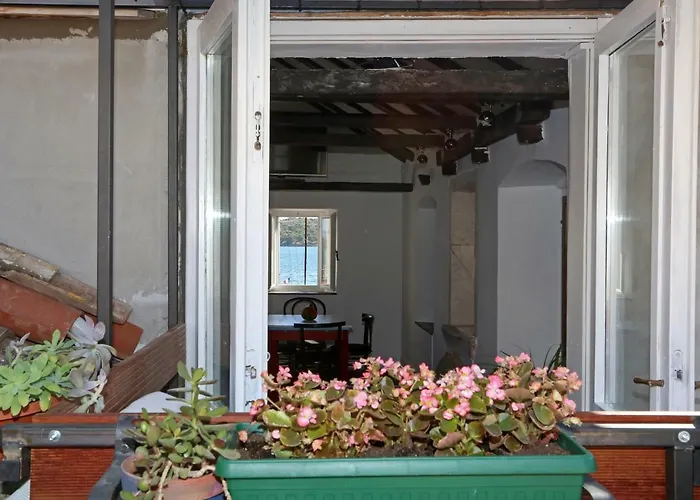 Swan Adriatic & Vendégház 4*